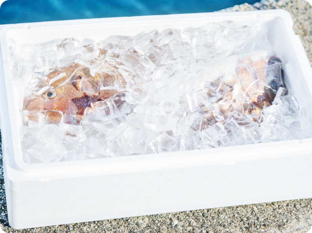 お客様の釣った魚をご自宅へ配送！