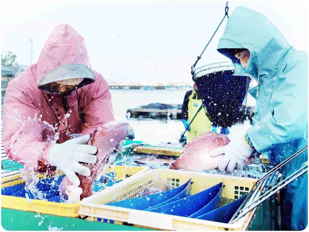 波が穏やかな串本湾内は、ファミリーでの釣りにおススメ！