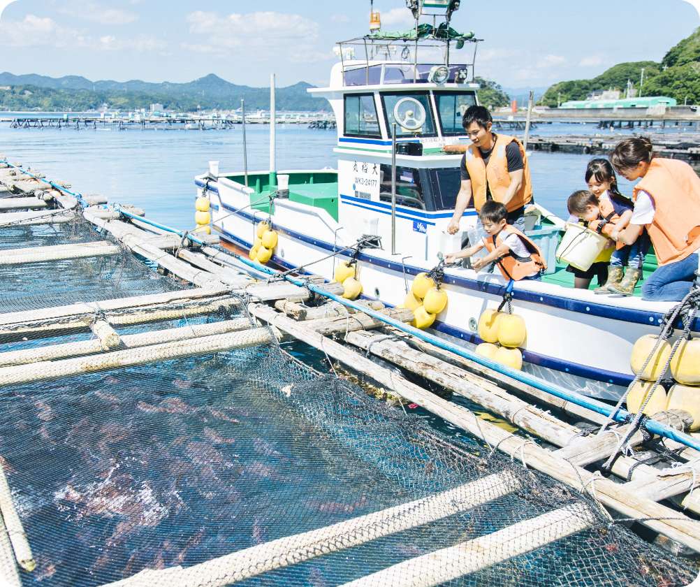 「紀州梅まだい」の養殖体験