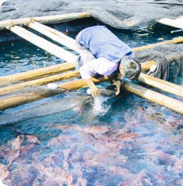 大裕丸（岩谷水産）の取り組み