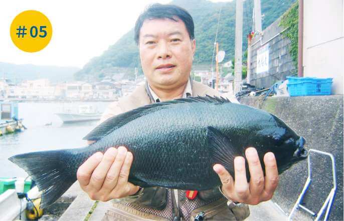 寒グレ釣り大会（毎年12月～2月）