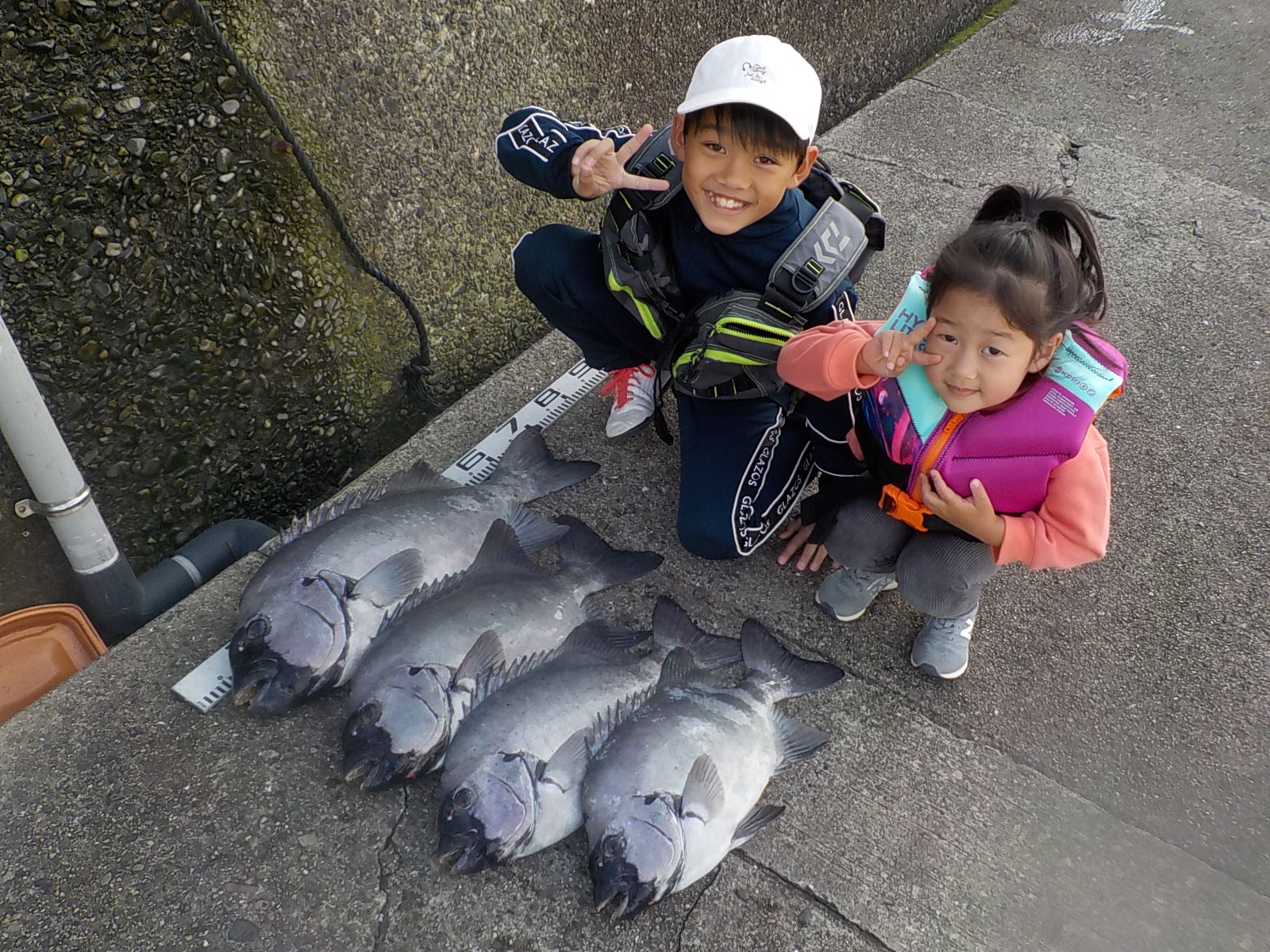 那須様　イシダイ　５５～７１センチ　４尾