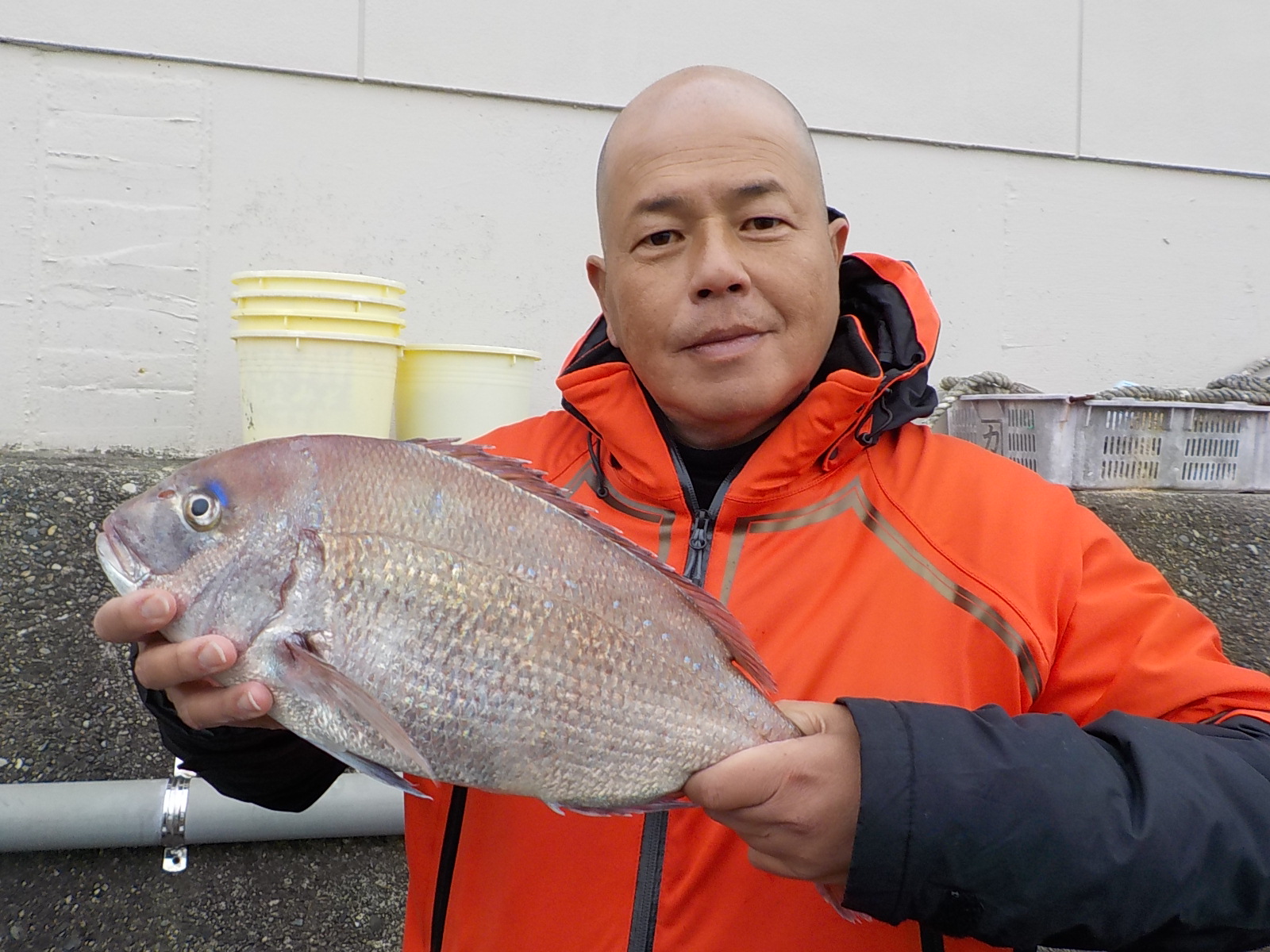 足立様　マダイ　40～50センチ　4尾