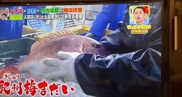 テレビ紹介のお知らせ！！！