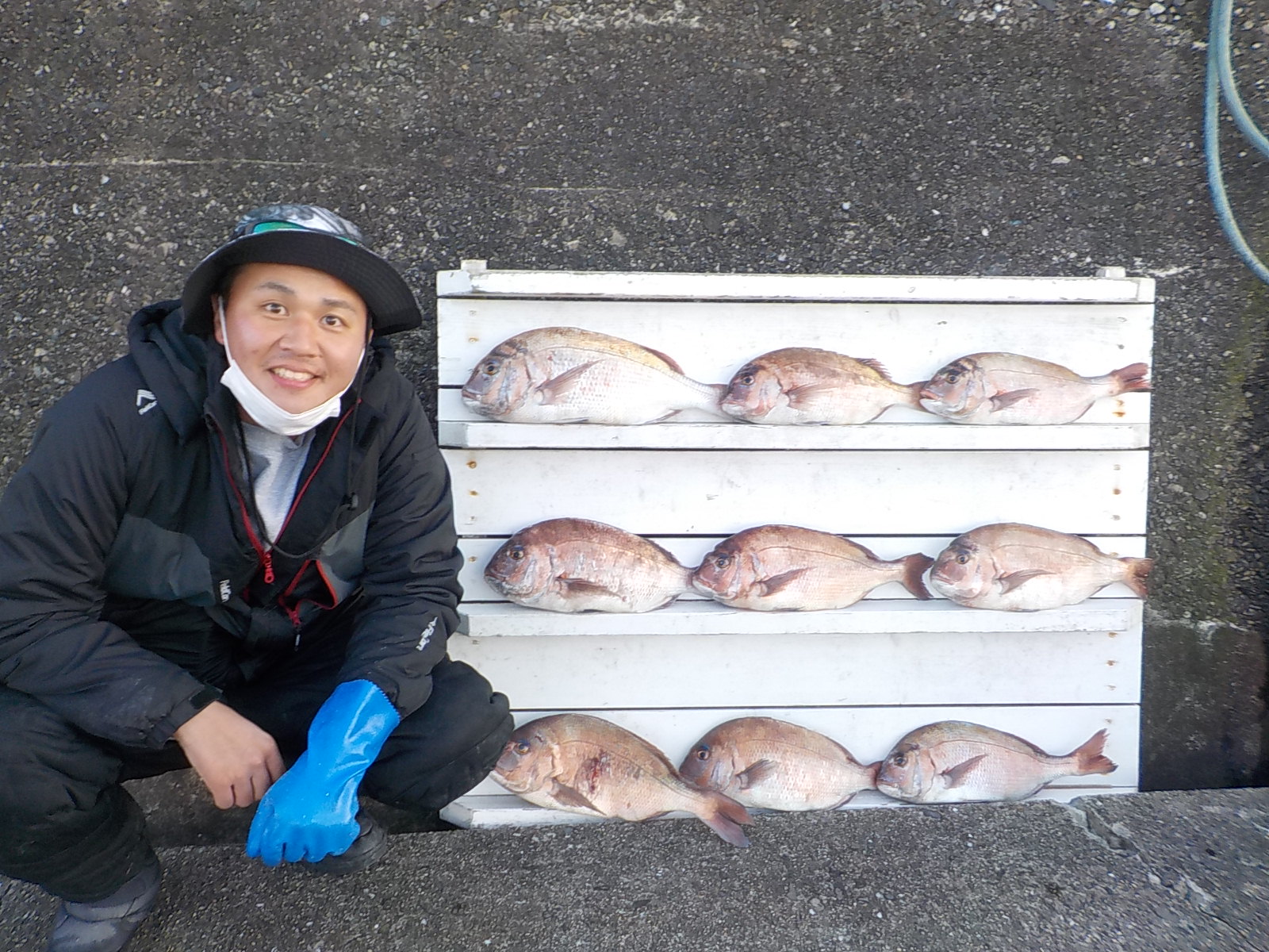 菅田様　マダイ　40～50センチ　9尾