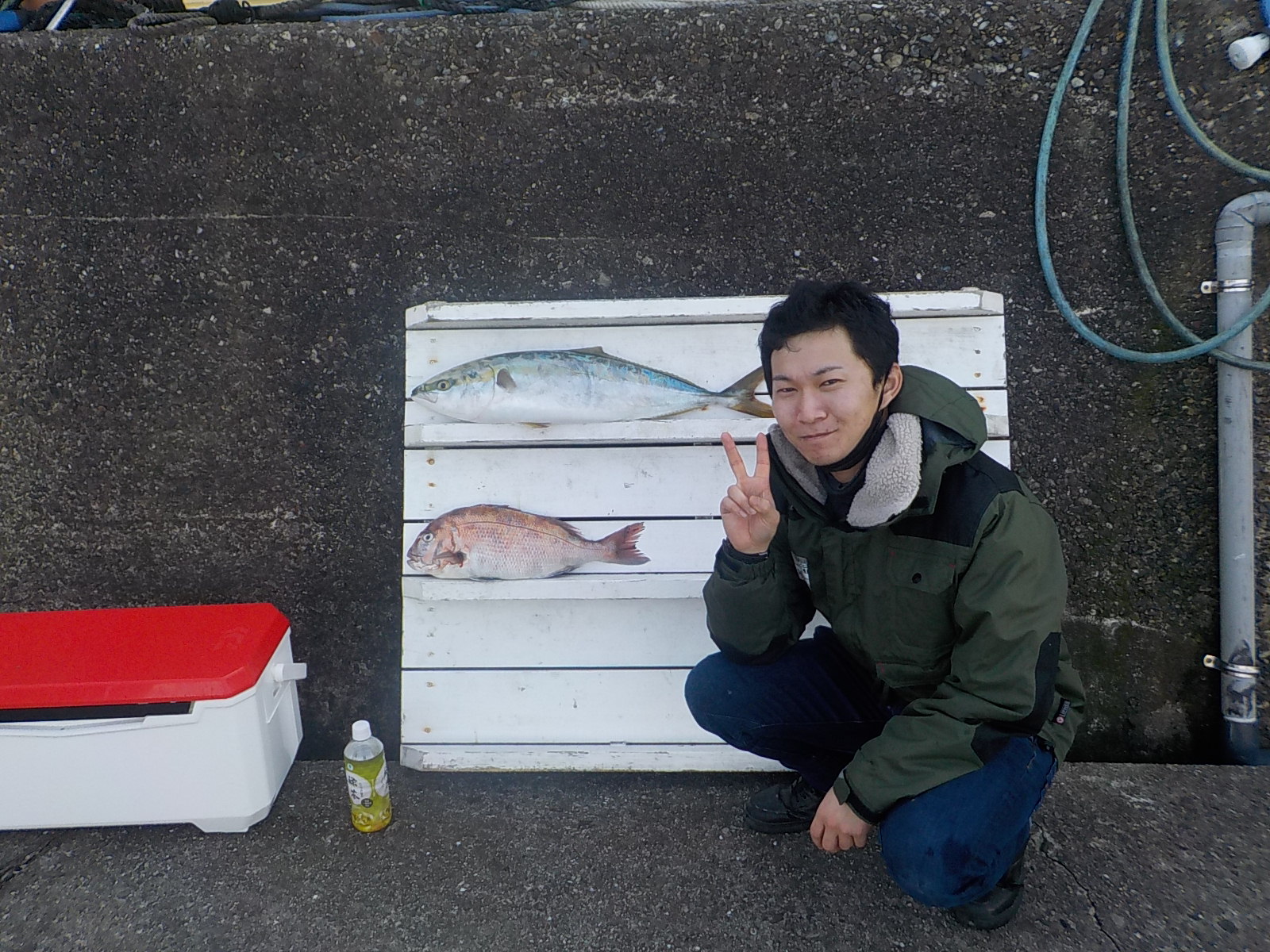 小森様　メジロ1本　マダイ４０センチ