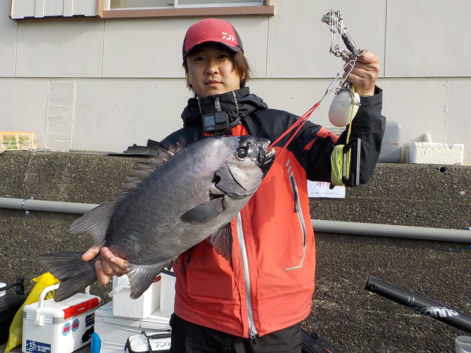 北川様　イシダイ５７センチ