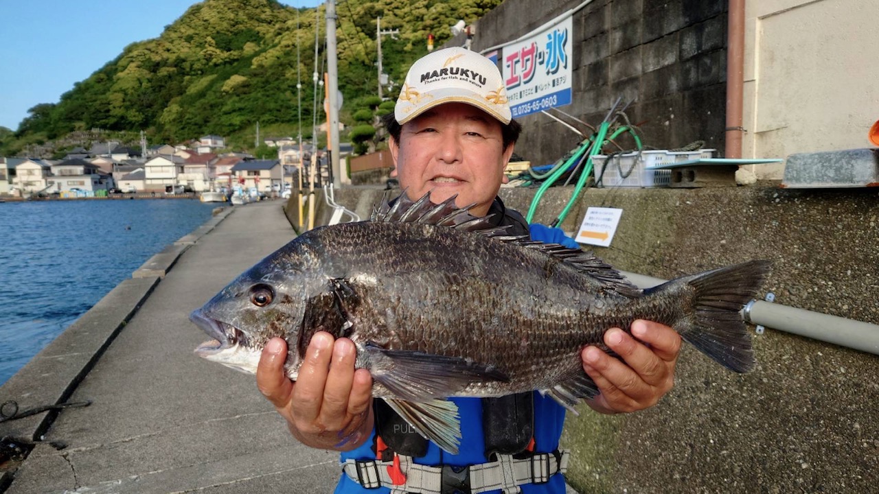 【年無し】子林様　チヌ39～５３センチ５尾