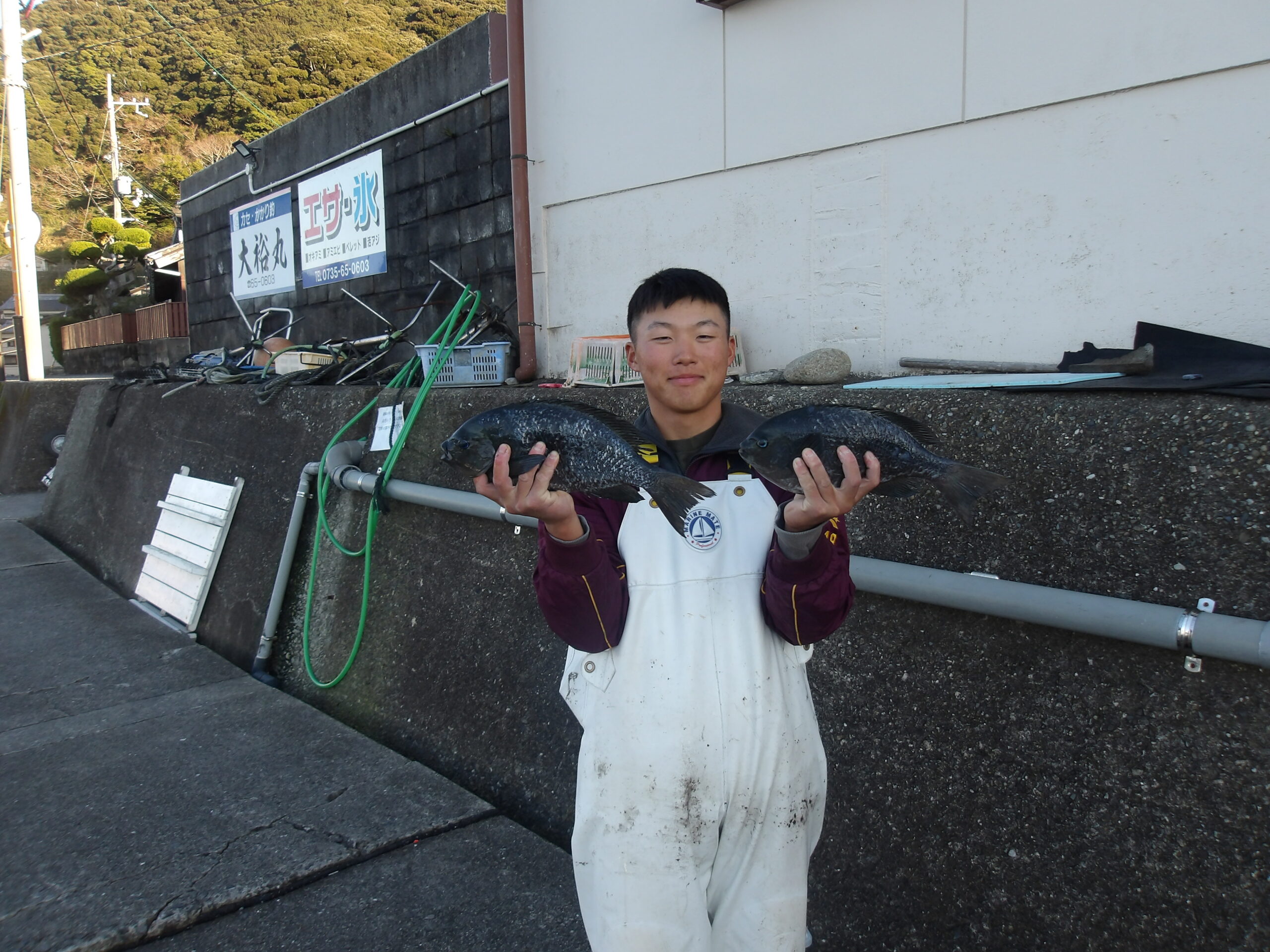 スタッフの元君　グレ40～45センチ4尾