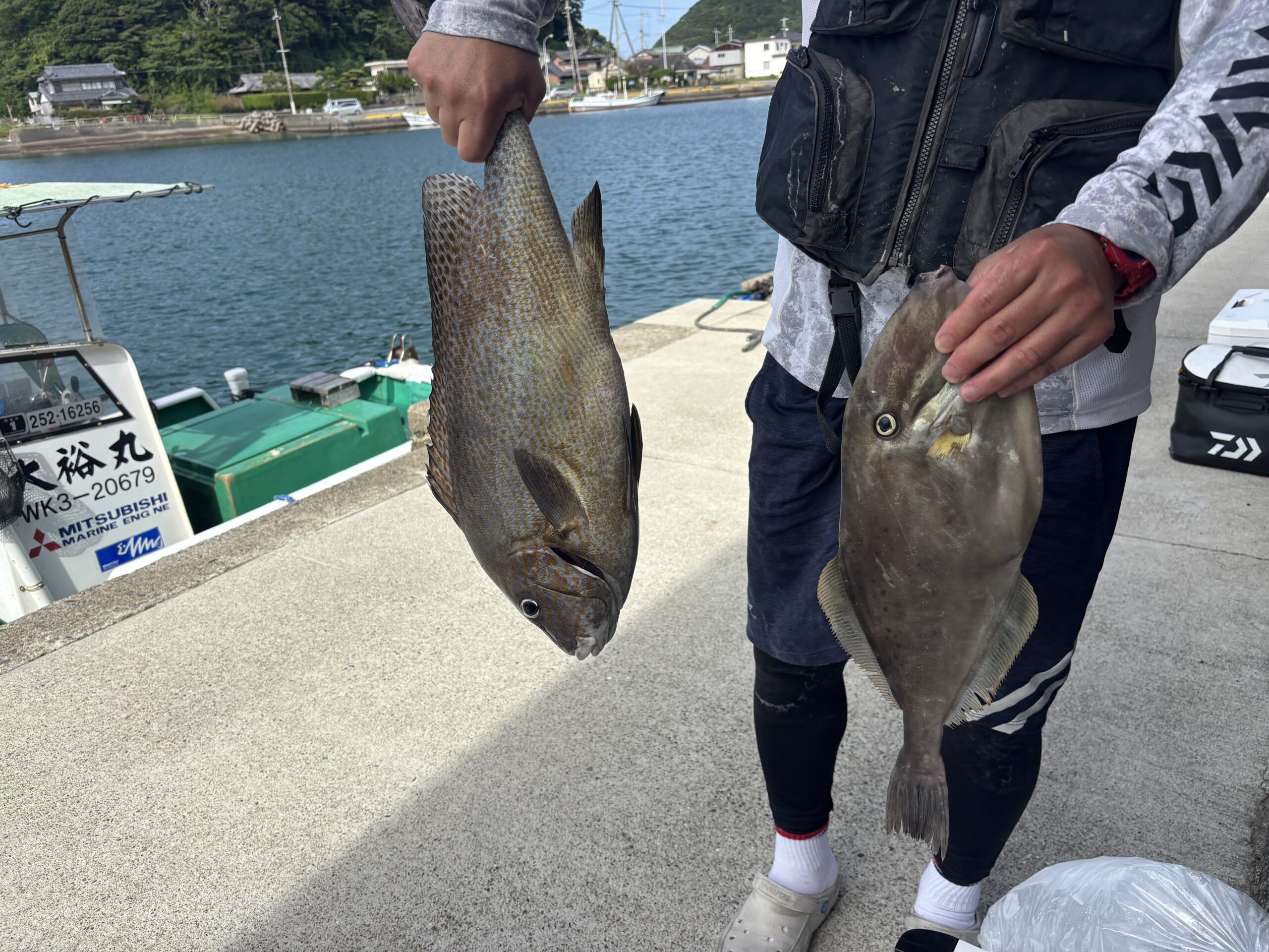 最新釣果です。コロダイ気配有。