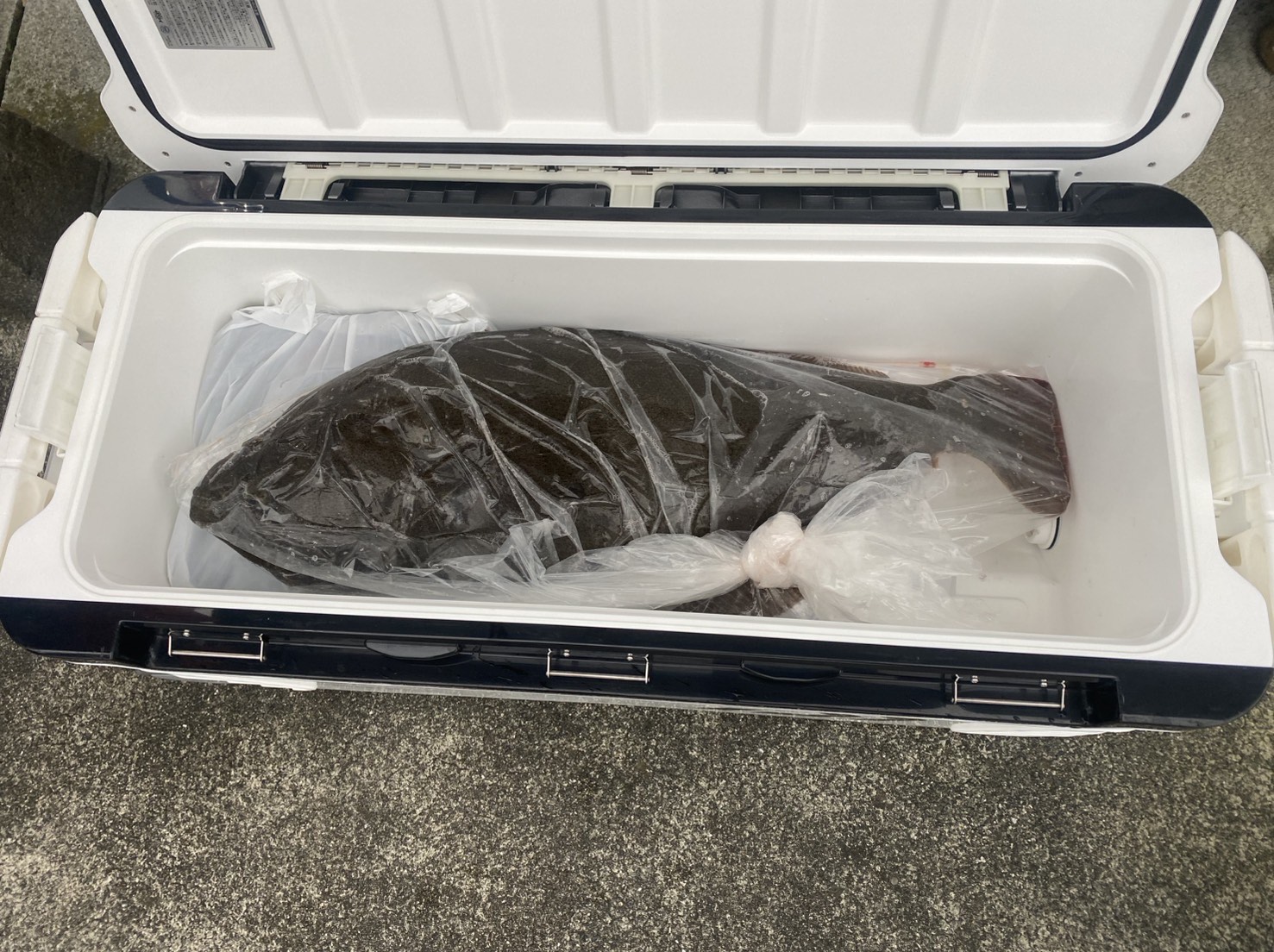 吉田様　ヒラメ８０センチ！！