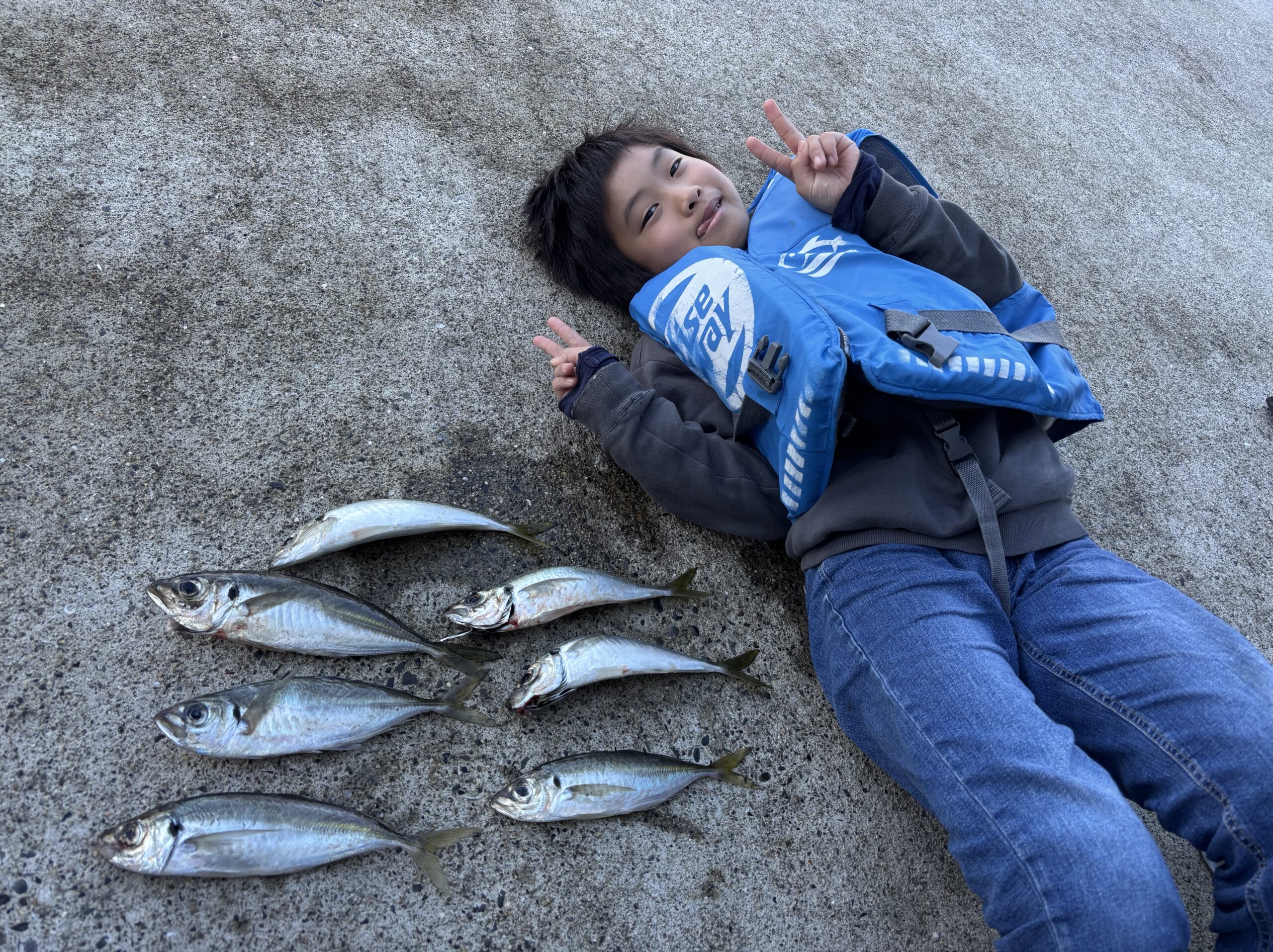 家城様　中アジ