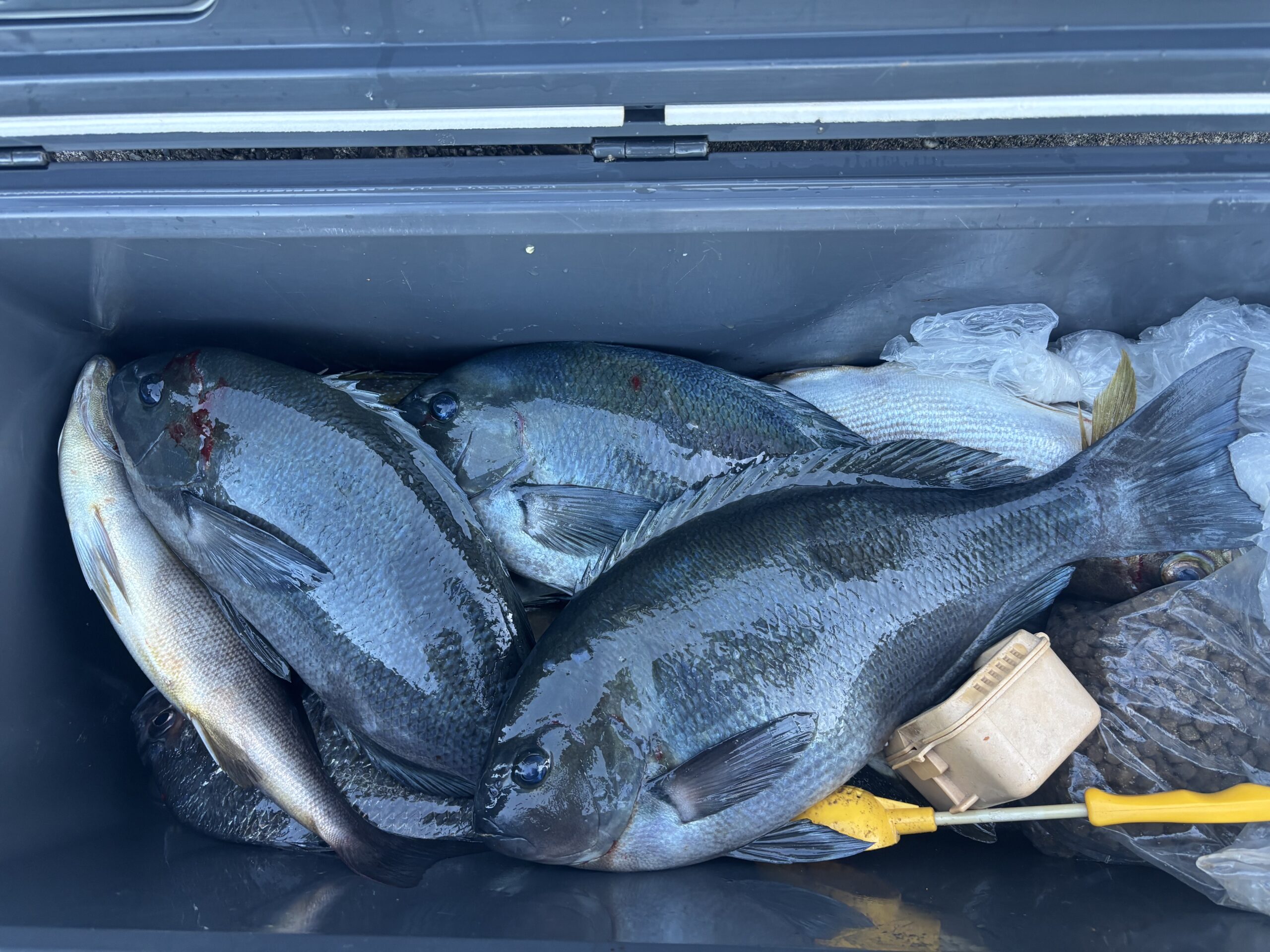 年末パート②！