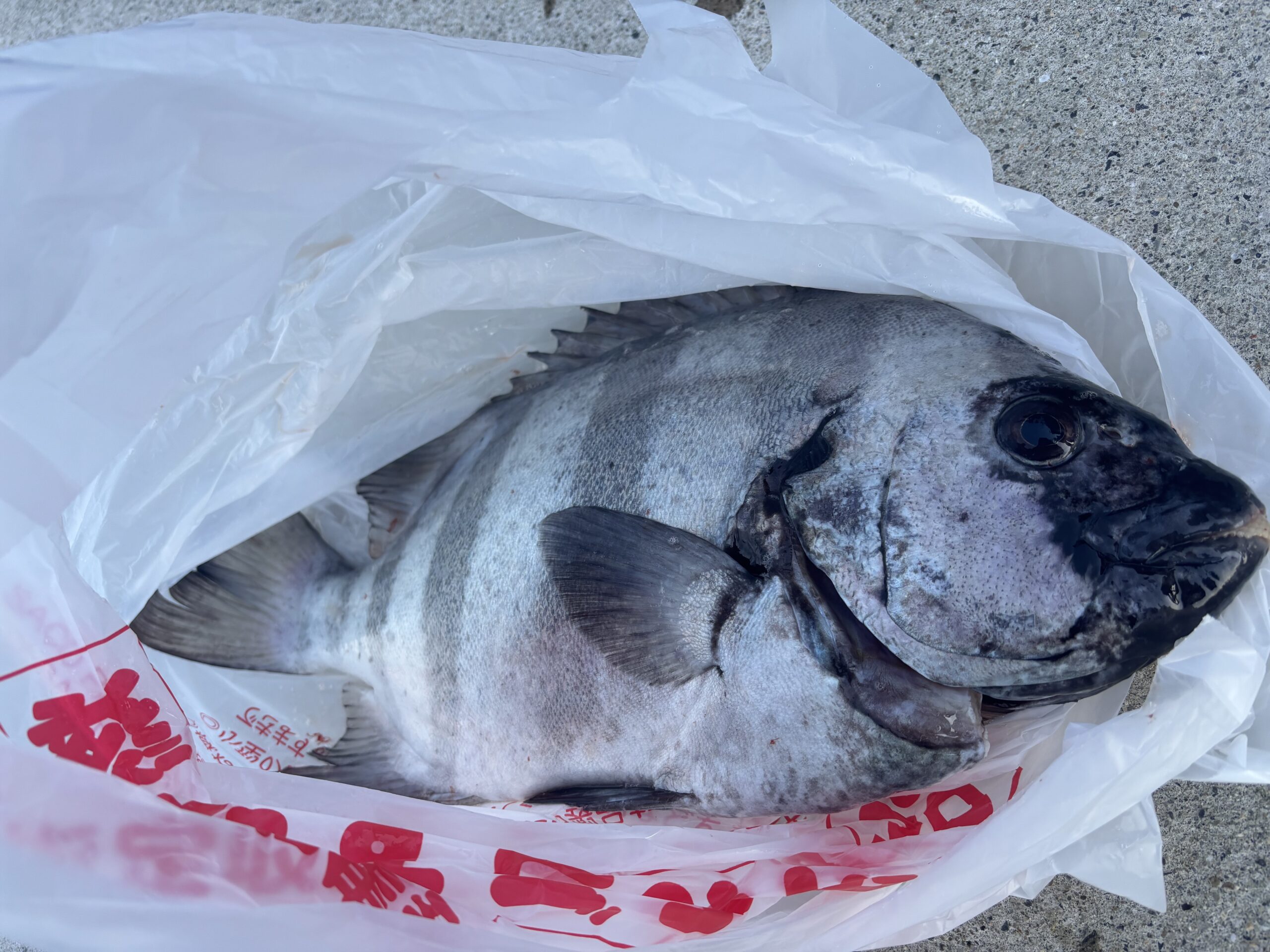 年末パート①！