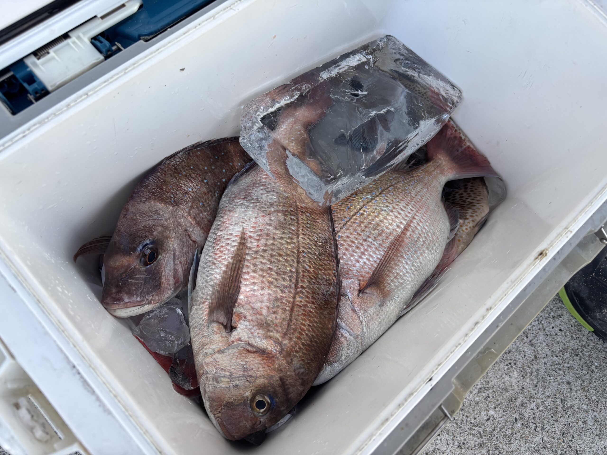 年明けパート③!