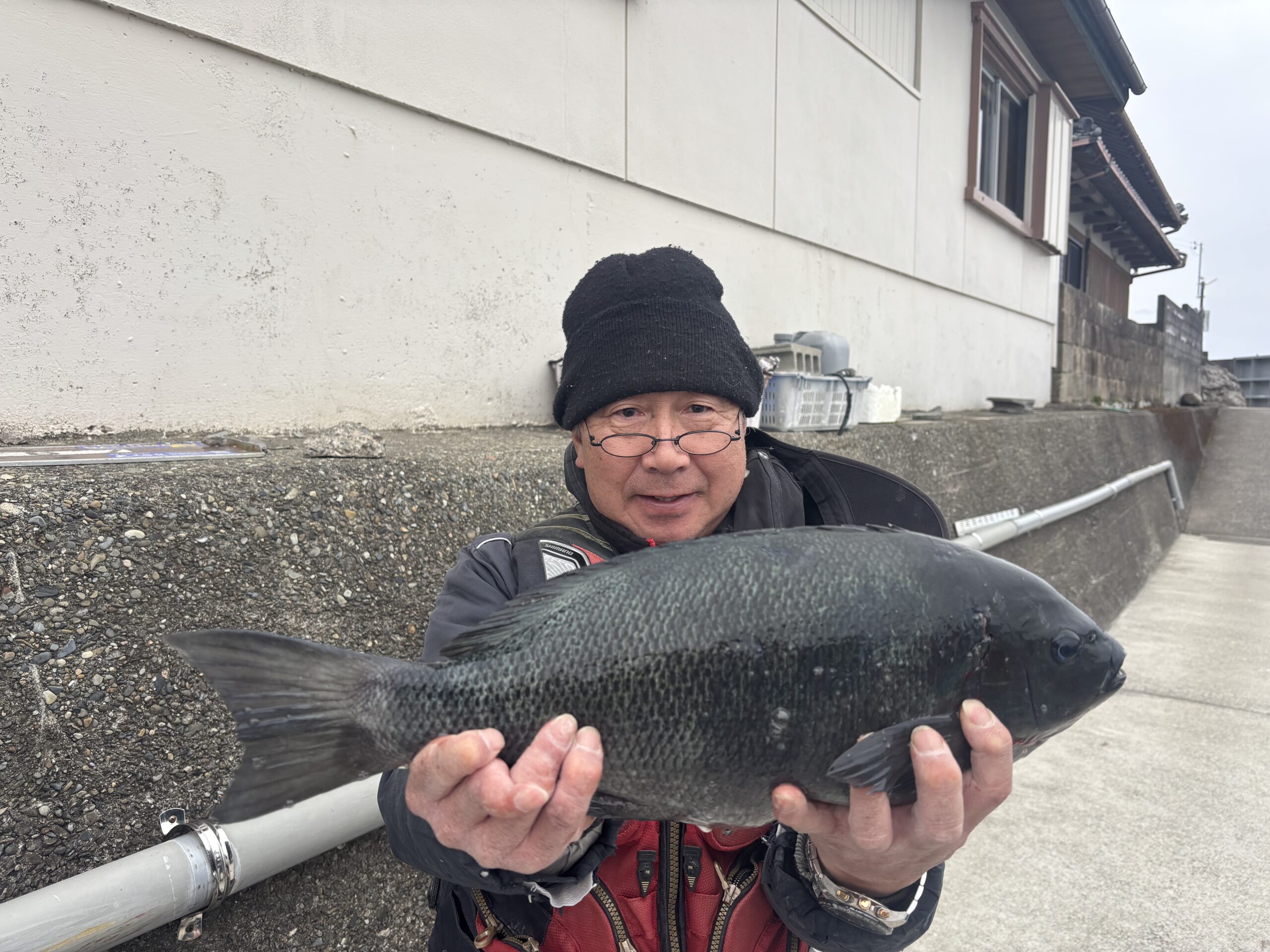 小南様　グレ４８センチ