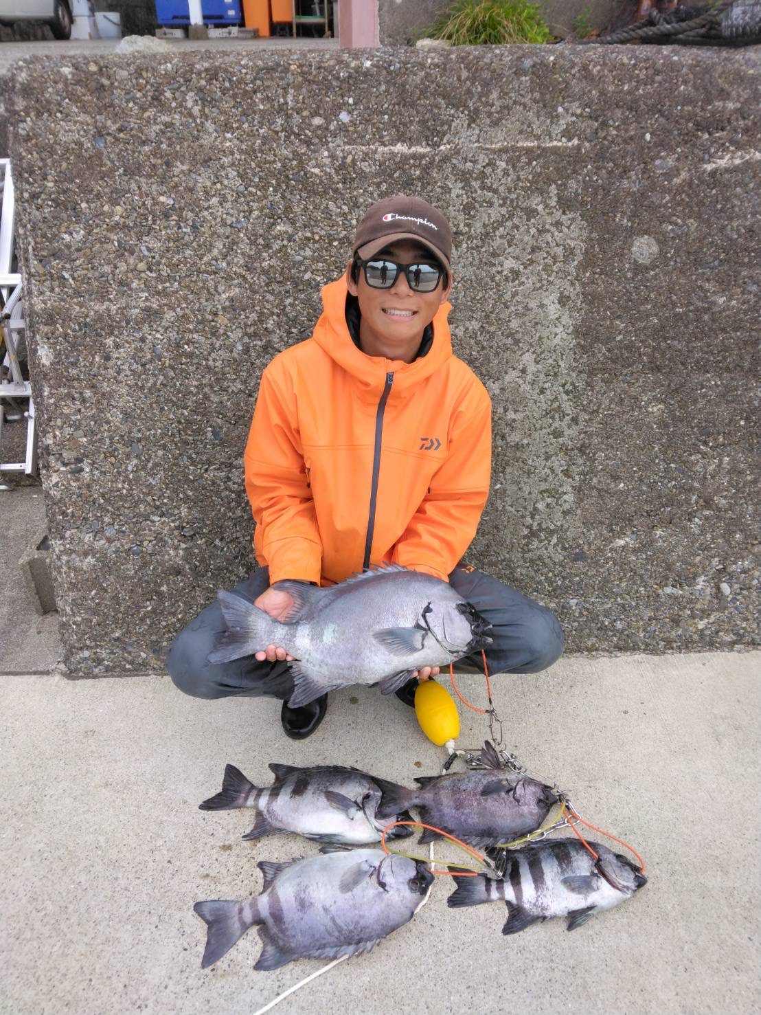 島内様 イシダイ!