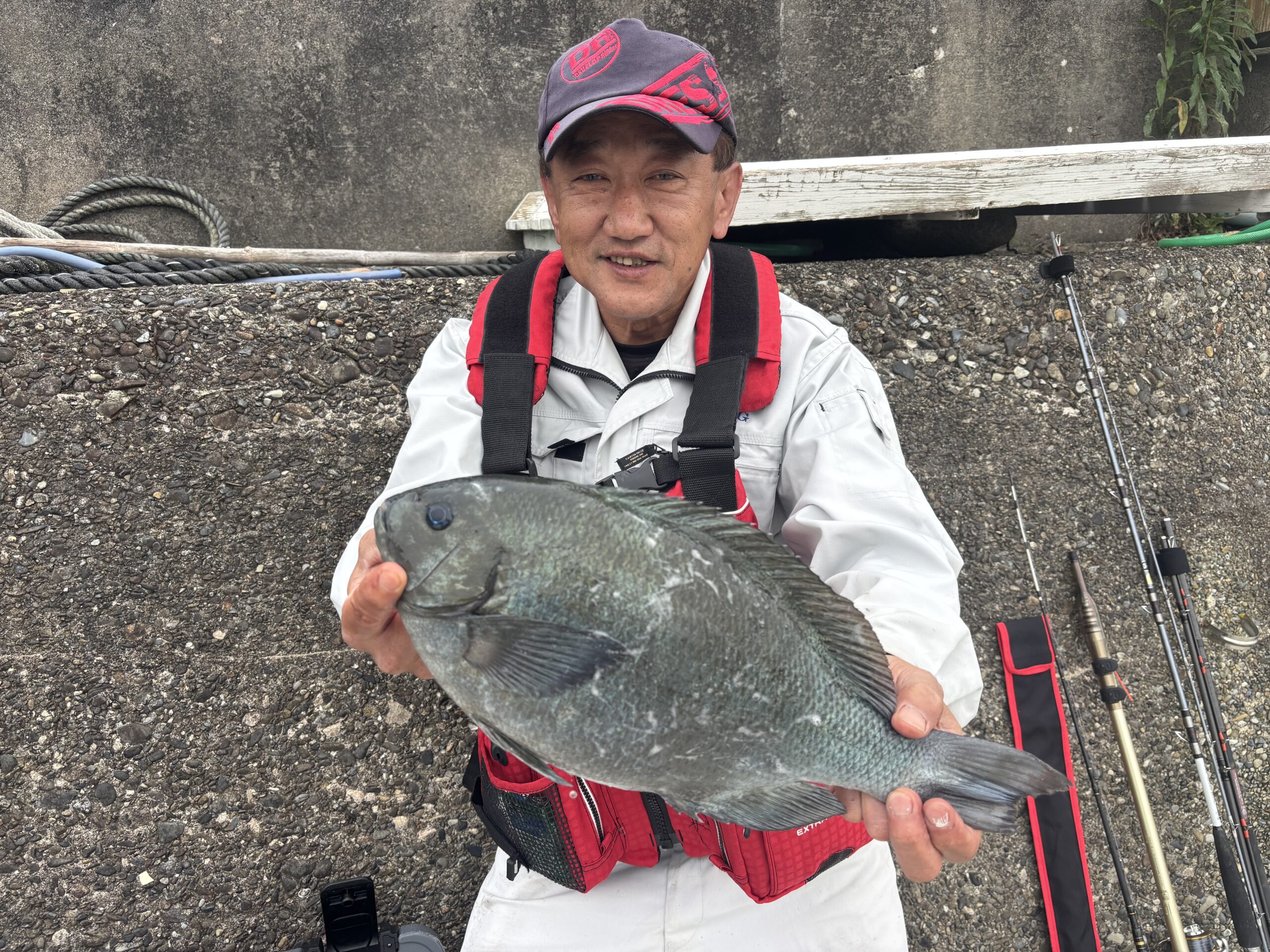 グレが各所で釣れております！