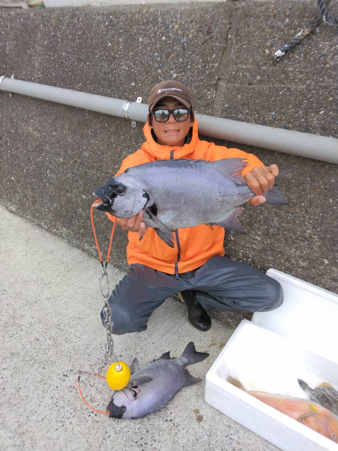 最新釣果です。