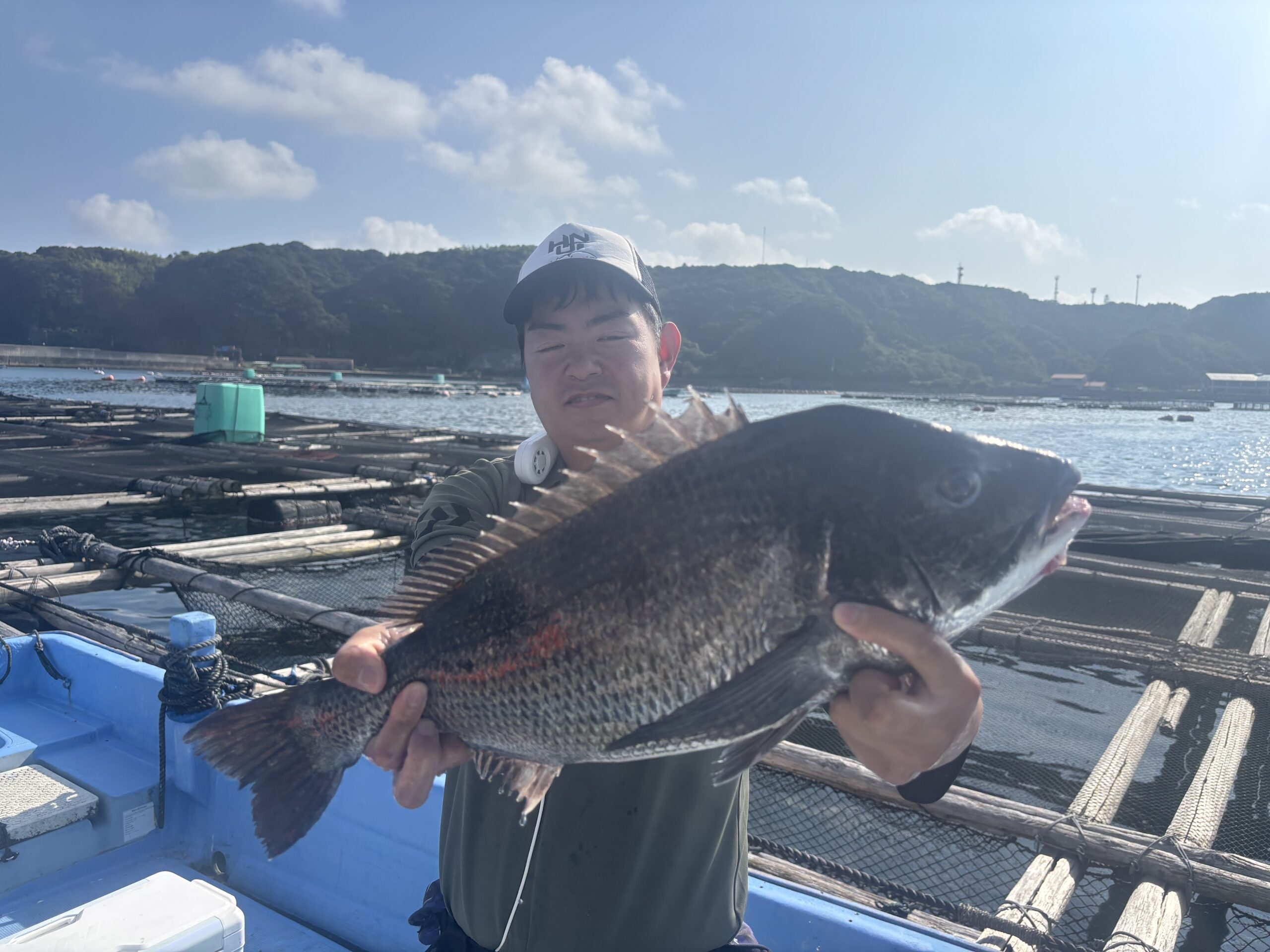 チヌ最新釣果