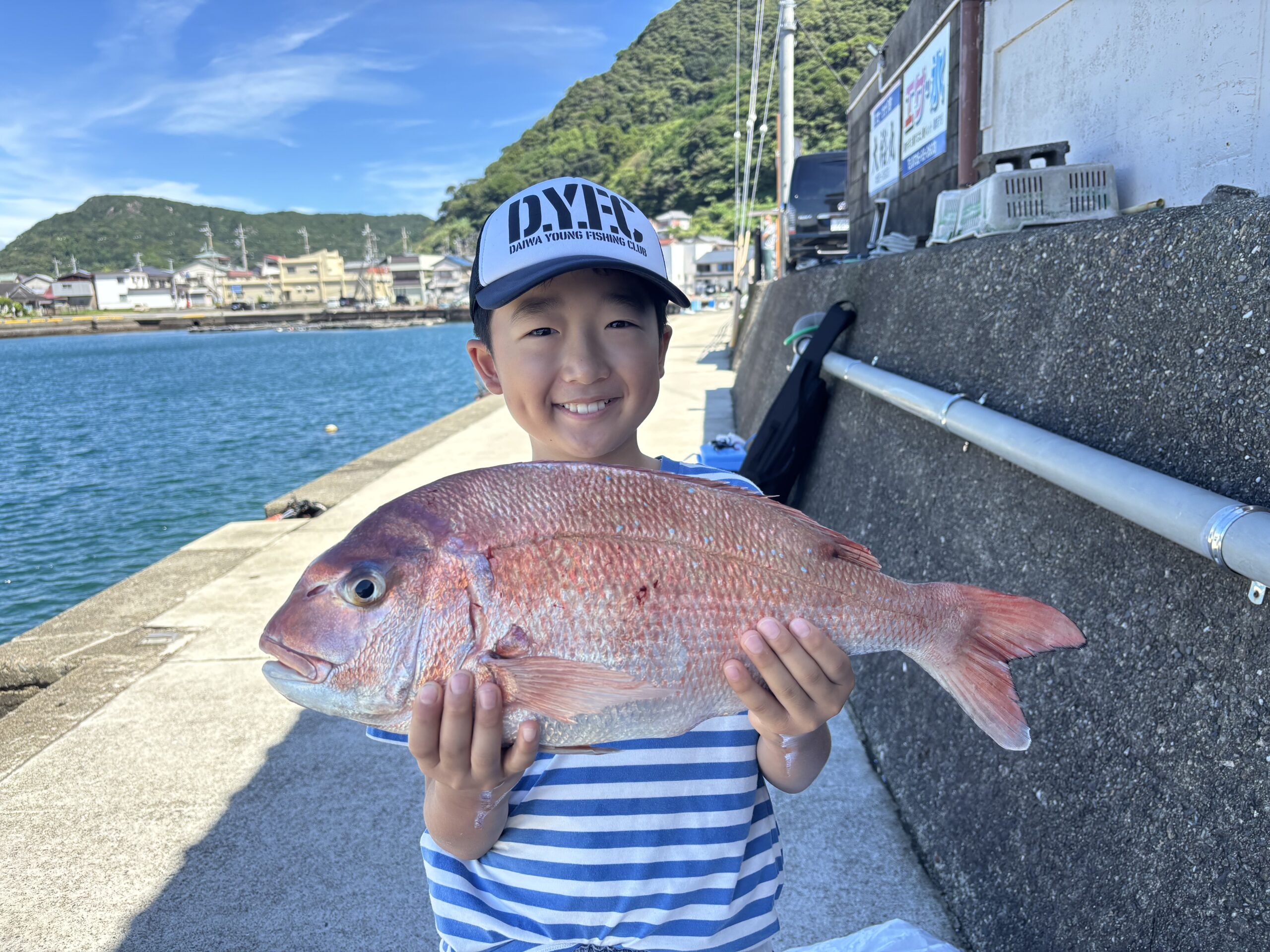 最新釣果です。マダイ等